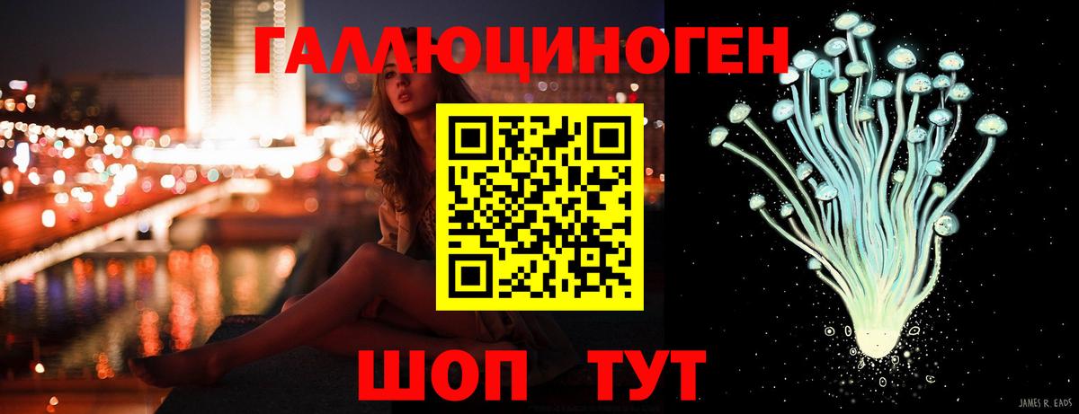 Боровичи  Псилоцибиновые грибы MAGIC MUSHROOMS  Вход с VPN 
