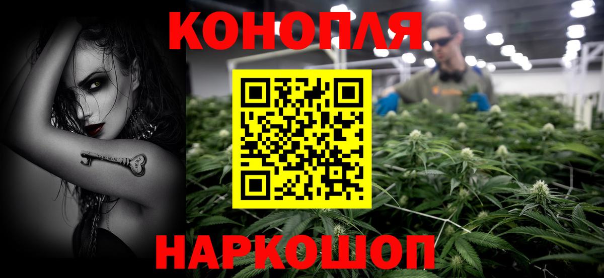 Конопля конопля Боровичи
